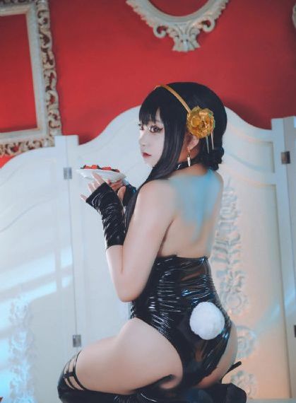 侍战队_超清高清完整版